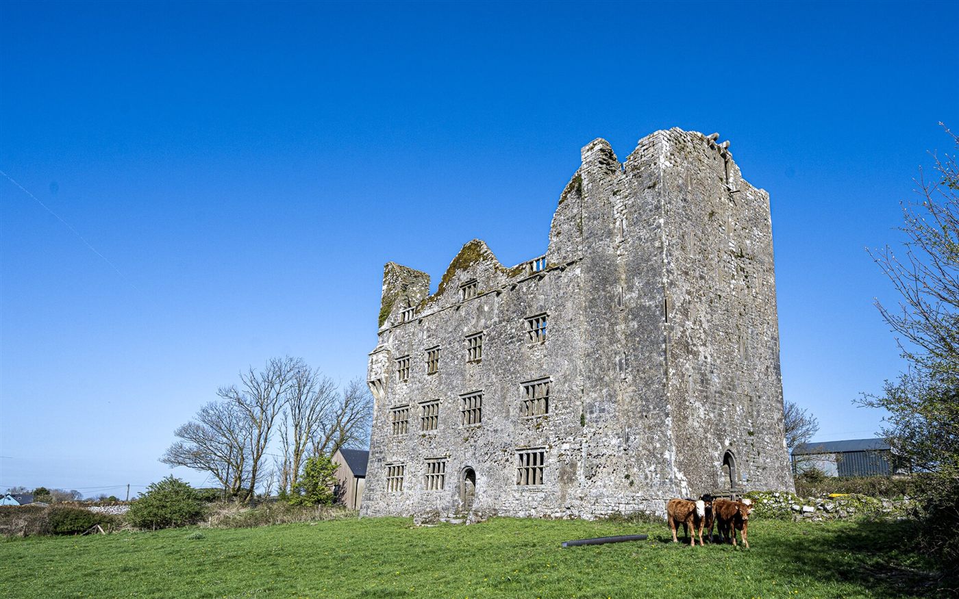 Ruins of Leamaneh Castle in County Clare