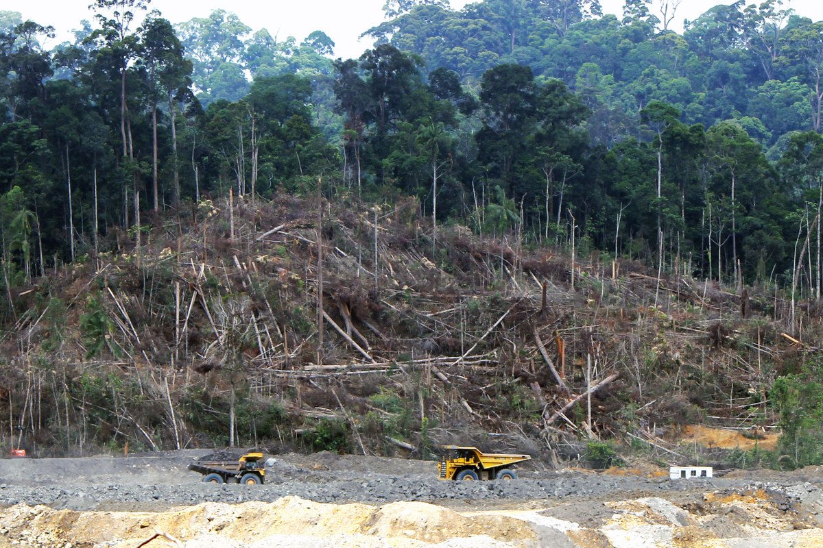 Deforested land beside a coal-mining area in Central Kalimantan, Indonesia, in 2013
