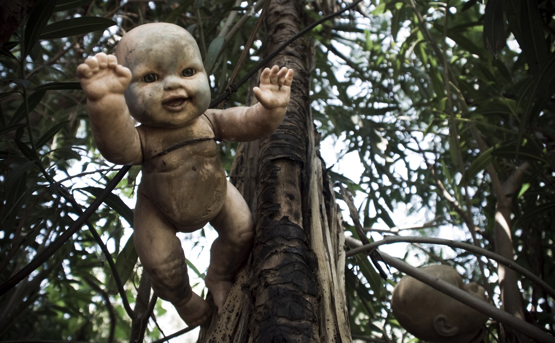 Isla de las Muñecas (Island of the Dolls) in the Xochimilco canals, Mexico City
