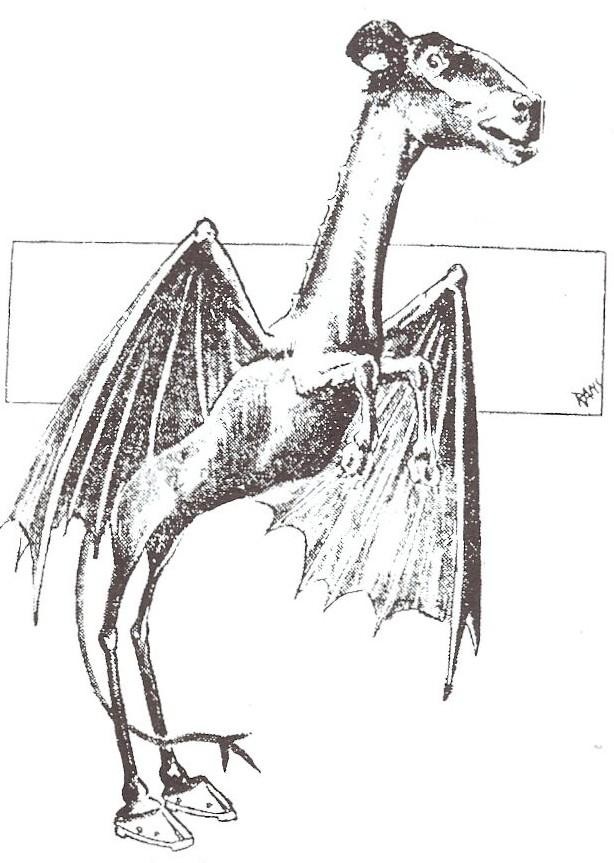 1909 Philadelphia newspaper illustration depicting the Jersey Devil during the January 1909 sighting panic