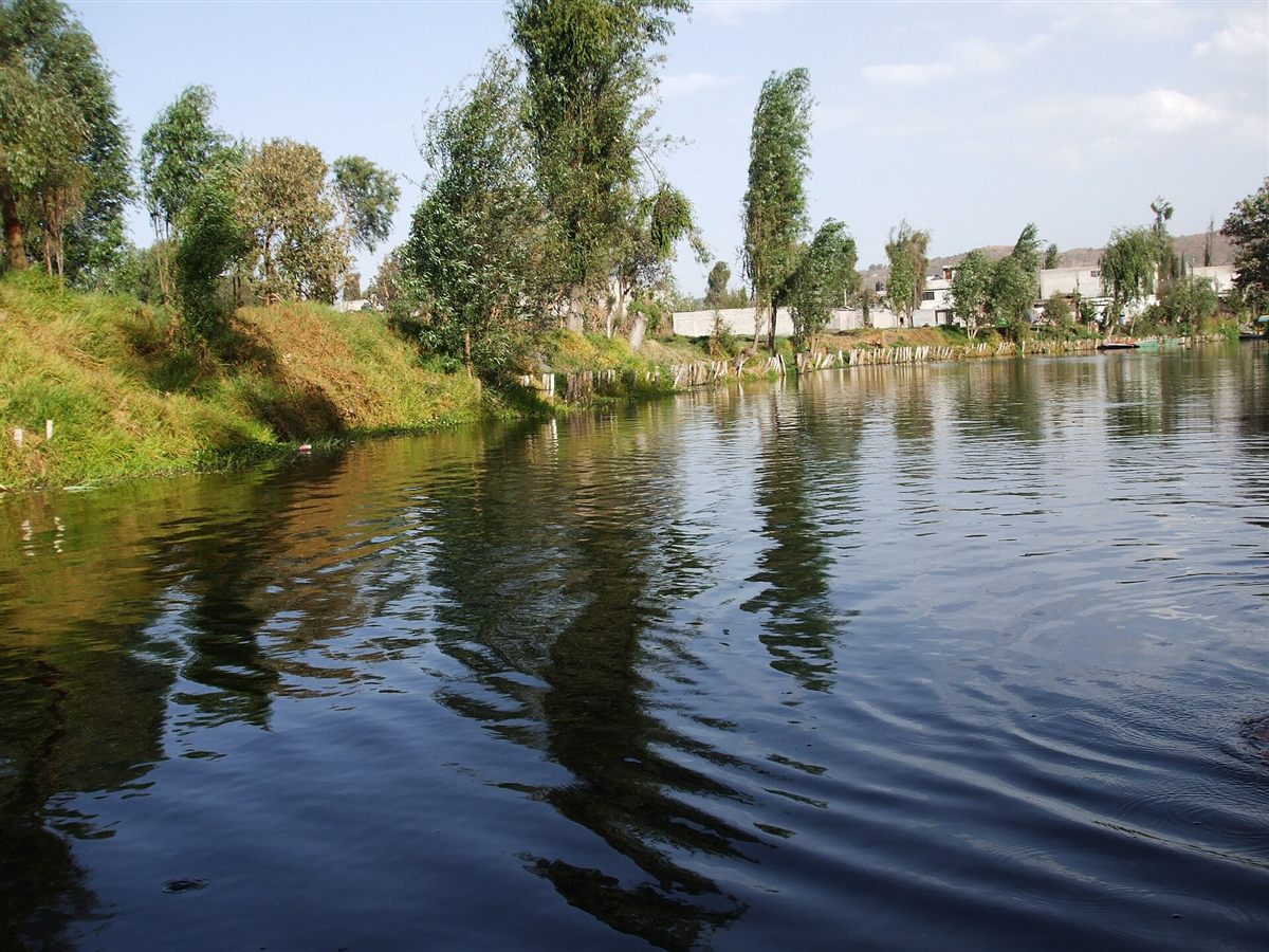 A canal in Xochimilco, Mexico City